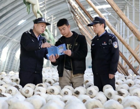 警蓝护春绿！金城卫士的